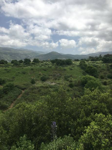 istock Banias Nature Reserve in Golan Heights, Israel. 1484559643