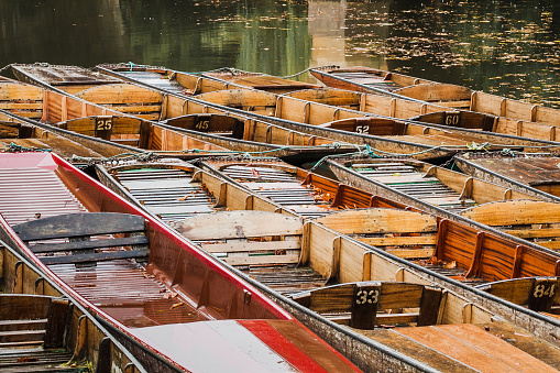 Punts moored up at the 'Head of the River' in Oxford.