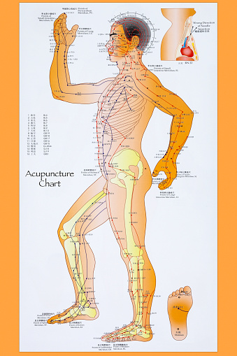 York. England. 06.08.13. Acupuncture - a system of complementary medicine that involves pricking the skin or tissues with needles, used to alleviate pain and to treat various physical, mental, and emotional conditions.
