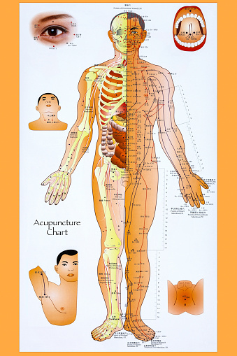 York. England. 06.08.13. Chinese Acupuncture Chart - Acupuncture is a system of complementary medicine that involves pricking the skin or tissues with needles, used to alleviate pain and to treat various physical, mental, and emotional conditions.