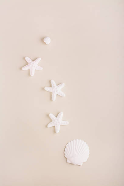 istock Summer beach vacation concept white starfish and shells on pastel background vertical view 1484565185