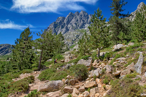 View of the peaks of the Restonica mountains and a hiking trail where a young woman is walking with a dog, Lac du Melu, Corsica island, France