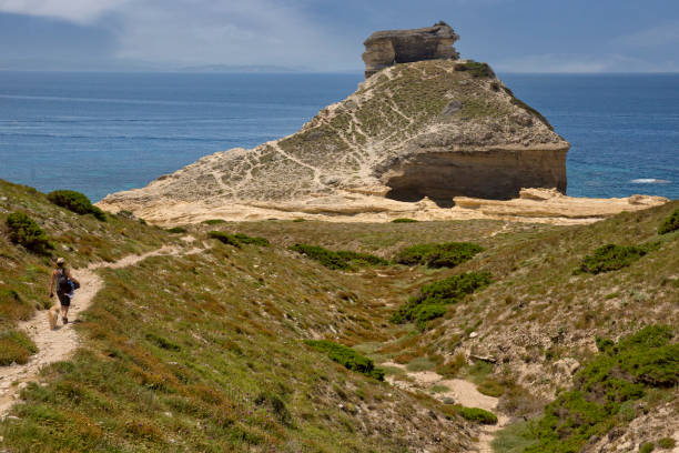 Hiking trail to the beautiful Saint Antoine beach with white cliffs and blue Mediterranean sea, Capo Pertusato, Bonifacio, Corsica island, France