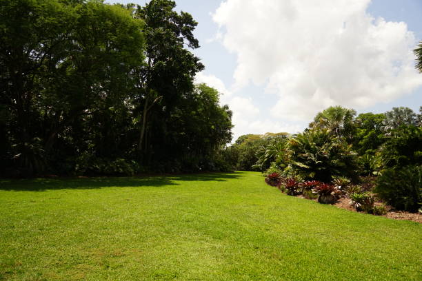 istock Flowers  & Butterflies around Florida 1484576610