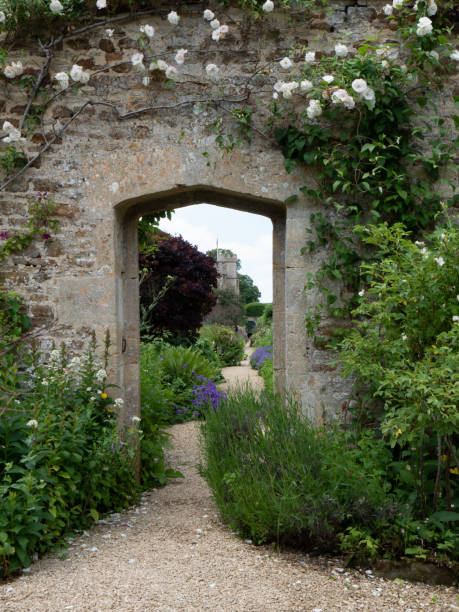 sentiero di ghiaia che vaga attraverso i confini dei fiori in una casa signorile inglese - mansion uk gravel summer foto e immagini stock
