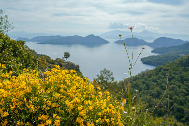 Spring Landscape with Sarsala Bay on the background, Dalaman, Mugla, Turkiye