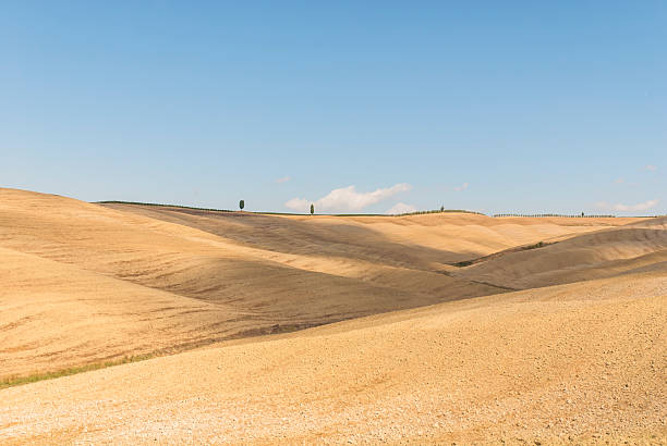 Landscape in Val d'Orcia, Tuscany stock photo