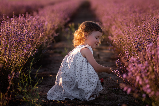 Little girl in flower dress runs among the rows of purple lavender in field. Child is digging in the ground. Walk in the countryside. Allergy concept. Natural products, perfumery. Cheerful childhood