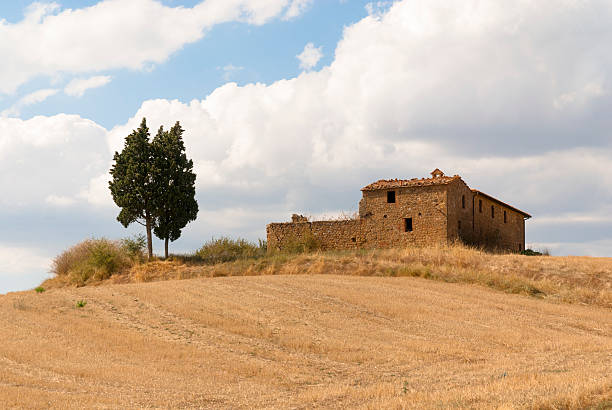 Landscape in Val d'Orcia, Tuscany stock photo