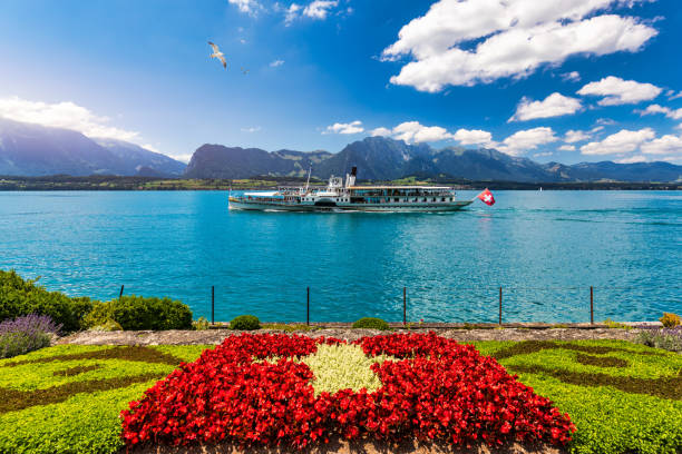 flowerbed of the swiss flag with boat cruise on the thun lake and alps mountains, oberhofen, switzerland. swiss flag made of flowers and passenger cruise boat, lake thun, switzerland. - berne switzerland thun jungfrau imagens e fotografias de stock