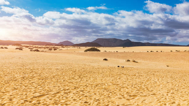 istock Sand dunes, Las Dunas de Corralejo, Corralejo Natural Park, dramatic cloud formation, Fuerteventura, Canary Islands, Spain. Sand dunes landscape, Corralejo, Fuerteventura, Canary Islands, Spain. 1484588832