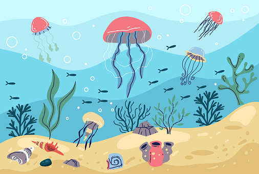 Jellyfish water life summer sea ocean animal concept. Vector graphic design
