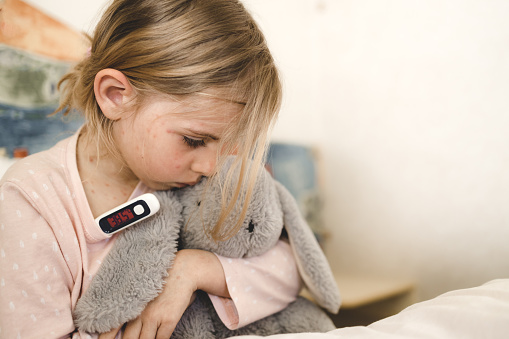 Little girl measuring temperature with digital thermometer. Child ill and has high temperature. Upset Kid sitting in bed hugging furry toy, thermometer lights red and indicates 38,5 C. Chickenpox, varicella virus on child's body and face