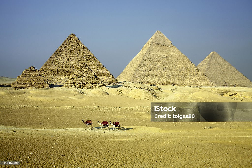 Pyramiden von Gizeh mit Kamelen - Lizenzfrei Afrika Stock-Foto