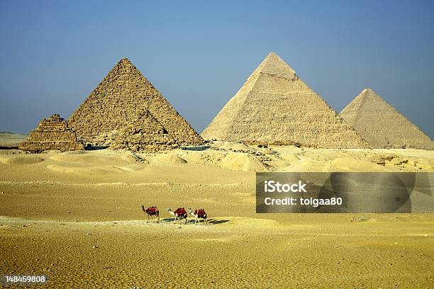 Piramidi Di Giza Con Cammelli - Fotografie stock e altre immagini di Africa - Africa, Africa settentrionale, Antica civiltà