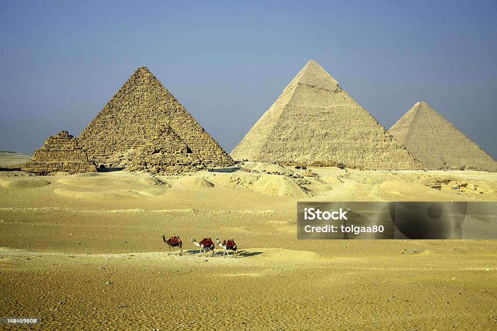 Pirâmides de Gizé com Camels - Royalty-free Arqueologia Foto de stock