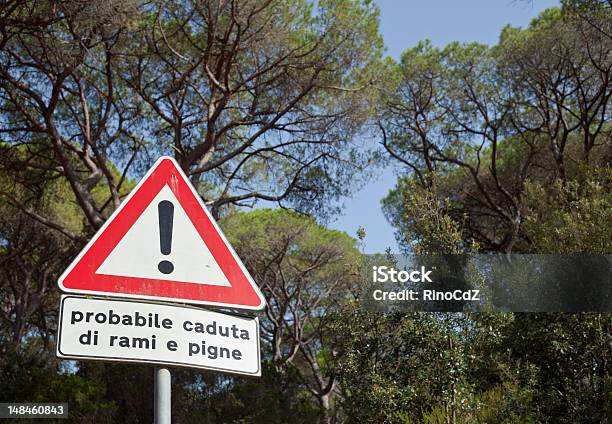 Sinal De Perigo Em Pinewood - Fotografias de stock e mais imagens de Ao Ar Livre - Ao Ar Livre, Caraterísticas da Costa, Fotografia - Imagem