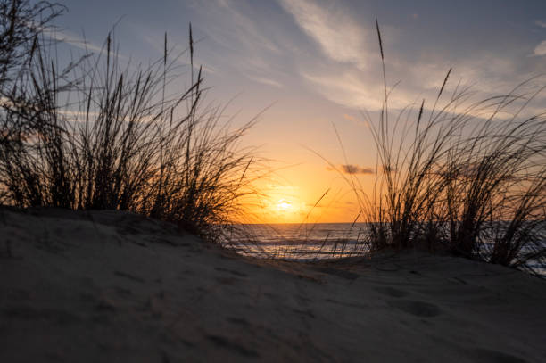 istock Sunrice at the beach in Spain 1484609039