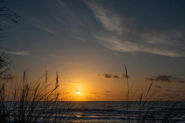 istock Sunrice at the beach in Spain 1484609062