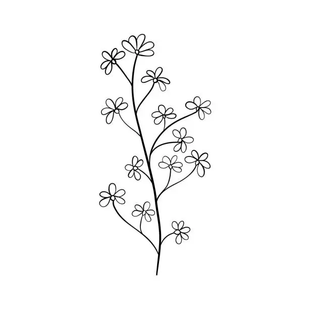 Vector illustration of Black silhouettes of grass, flowers and herbs isolated on white background. Hand drawn sketch flowers and insects.