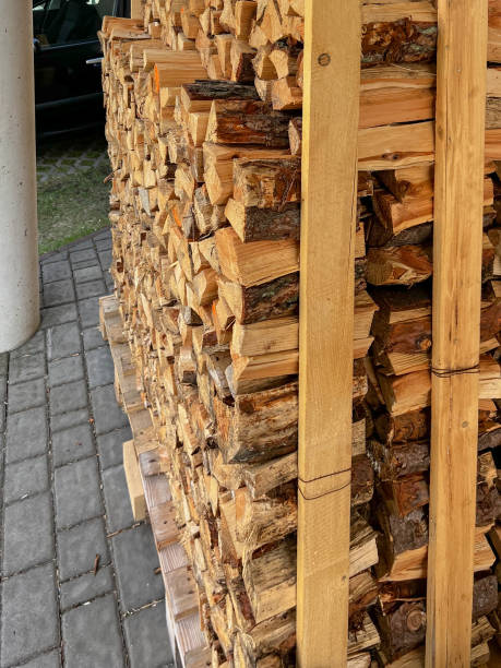 istock Use of old wooden pallets for stacking  firewood 1484620011