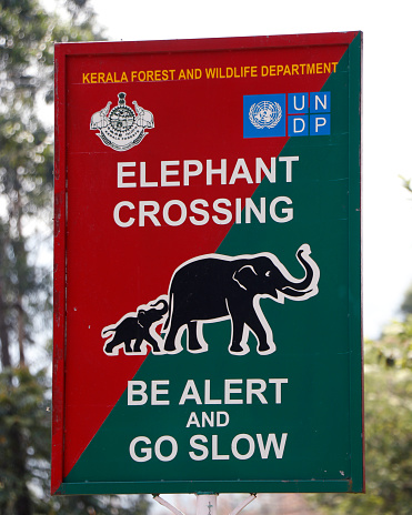 Kochi, Kerala, India - March 29, 2023 forest department wild animal crossing alert caution board