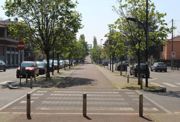 Road to the park