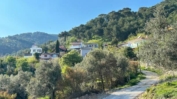 istock a village view in the goose mountains 1484650531