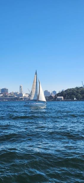 istock Sailboat in Sydney Harbor 1484650545