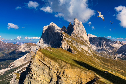 View on Seceda with birds flying over the peaks. Trentino Alto Adige, Dolomites Alps, South Tyrol, Italy. Val Gardena. Majestic Furchetta peak. Odles group seen from Seceda, Val Gardena.
