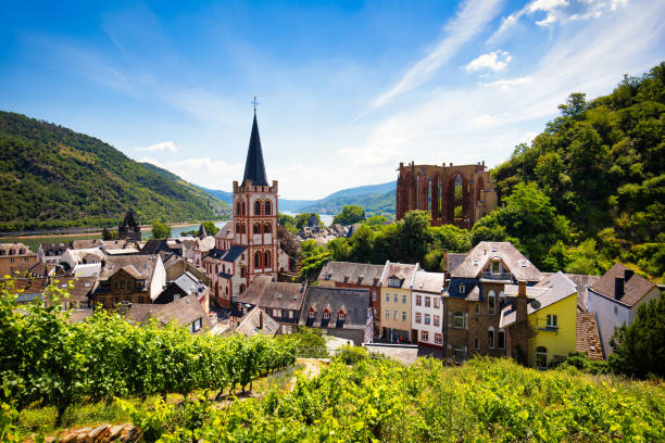 bacharach panoramic view. bacharach is a small town in rhine valley in rhineland-palatinate, germany. bacharach is a small town in rhine valley in rhineland-palatinate, germany - rhine gorge imagens e fotografias de stock