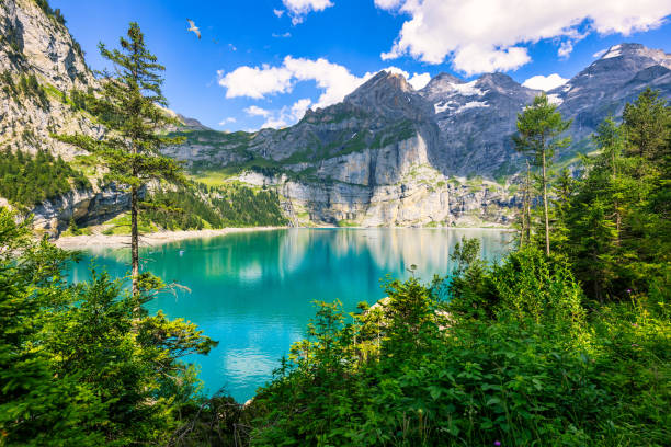 晴れた夏の日にブルームリサルプ山のある有名なオエシネンゼー。紺碧の湖オエシネンゼーのパノラマ。スイスアルプス、カンデルシュテッヒ。スイスの滝のある素晴らしいツアーキーズオ� - european alps mountain beauty in nature oeschinen lake ストックフォトと画像
