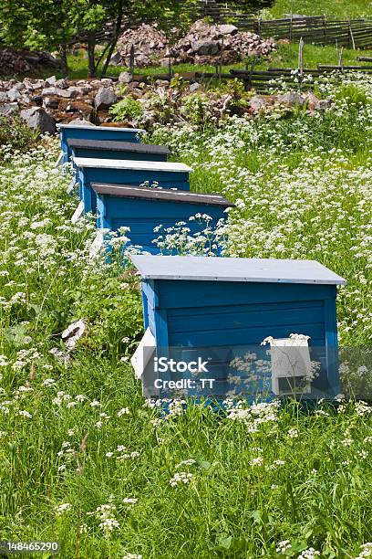 Beehives Stockfoto und mehr Bilder von Biene - Biene, Bienenstock, Blau