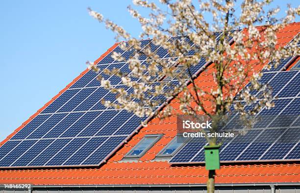 Foto de Energia Solar e mais fotos de stock de Cabeça da flor - Cabeça da flor, Casa de Pássaro, Céu - Fenômeno natural