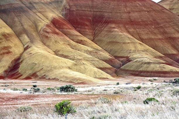 istock The colors of Painted Hills. 148465687