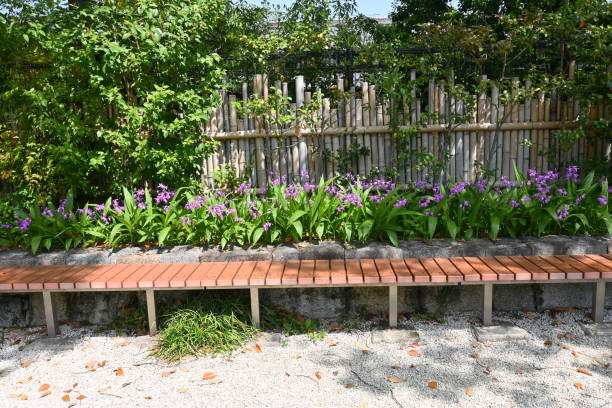 istock Hyacinth orchid (Bletilla striata) flowers. 1484660565