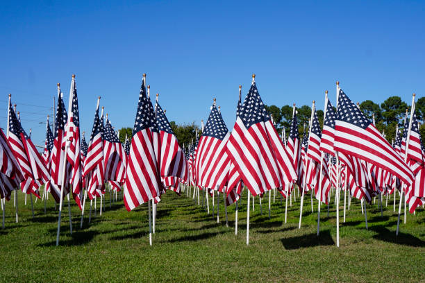 istock Field of American Flags under a blue sky 1484667726