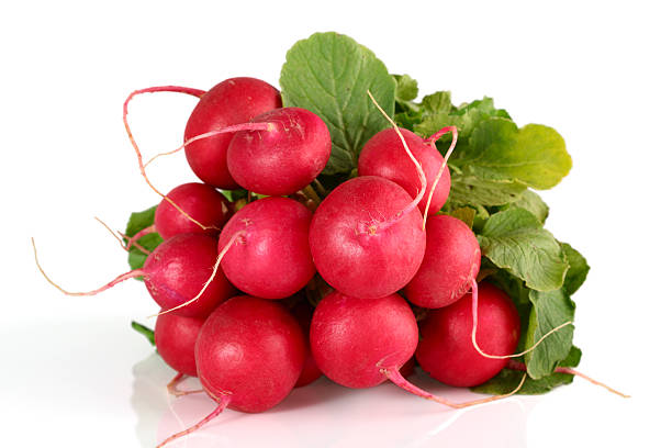 istock Bunch of Radish 148467292