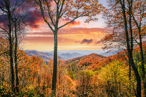 Newfound Gap in the Smoky Mountains, Tennessee, USA.