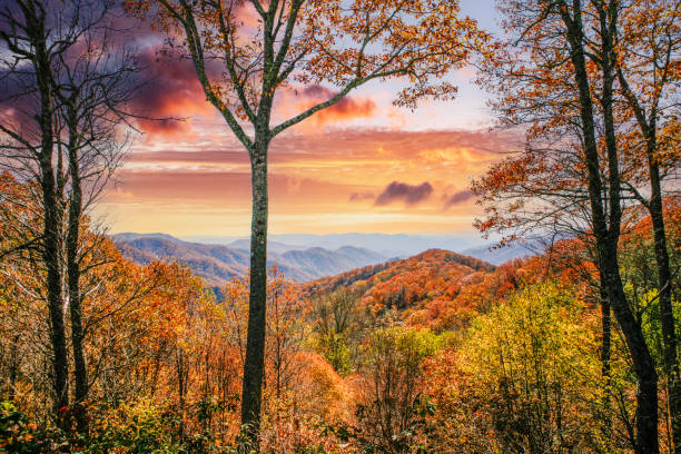 Smokey Mountain Sunset Rolling hills covered in vibrant autumn colored treetops during sunset in the Smokey Mountain national park in Tennessee. gatlinburg stock pictures, royalty-free photos & images