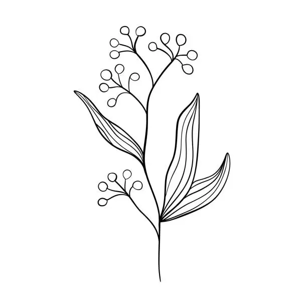 Vector illustration of Black silhouettes of grass, flowers and herbs isolated on white background. Hand drawn sketch flowers and insects.