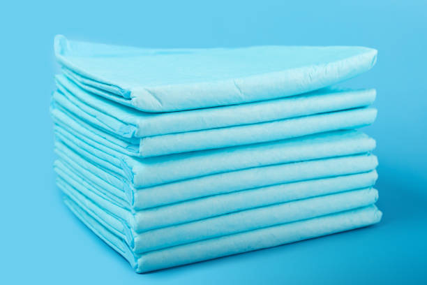 istock Dog toilet, pet absorbent diaper pad on blue background 1484692736