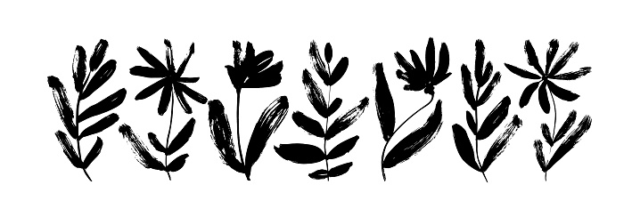 Black ink hand-drawn abstract flowers. Spring flowers vector set with leaves and stems. Grunge dry brushstroke drawing. Wild plants or herbs. Black and white artistic botanical illustration.