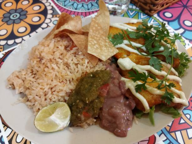 istock Vegetarian nacos and fish brown rice 1484713608