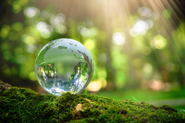 istock Crystal Earth On Soil In Forest With Ferns And Sunlight - Environment, save clean planet, ecology concept. Earth Day banner with copy space. 1484715045