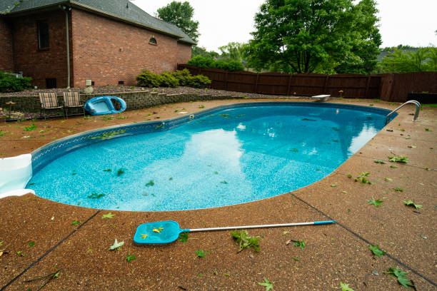 istock Swimming pool after a rain storm with severe winds 1484716080