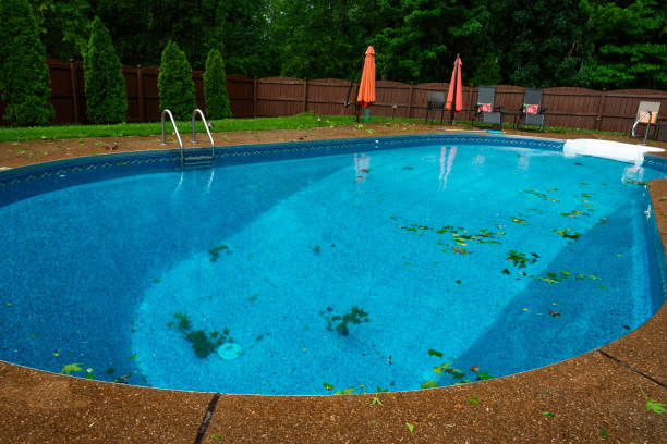 istock Swimming pool after a rain storm with severe winds 1484716121