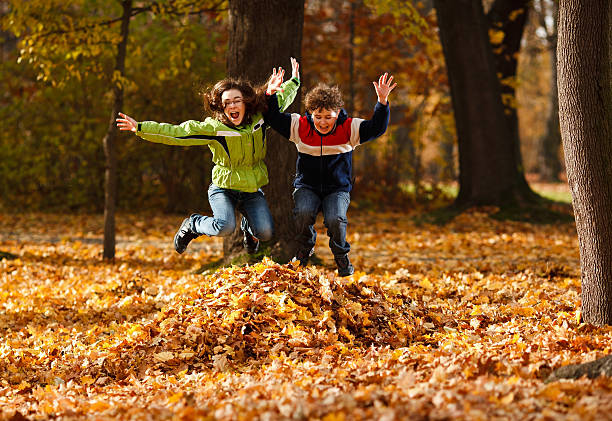 Autumn park