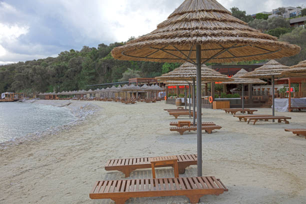 istock beach umbrella and sun loungers 1484721687