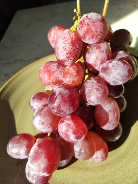istock Close up of grapes on the dining table 1484725611